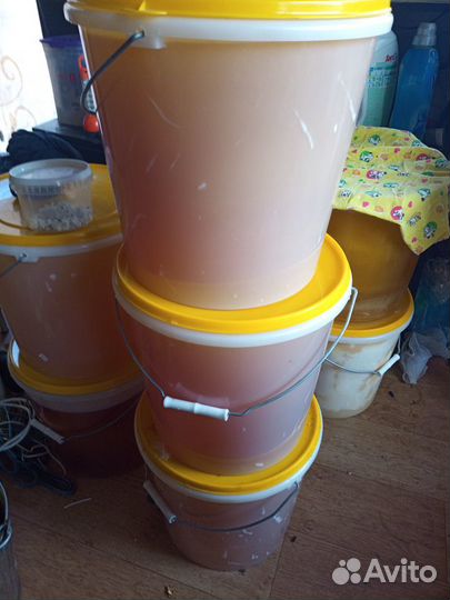 Мёд натуральный с личной пасеки