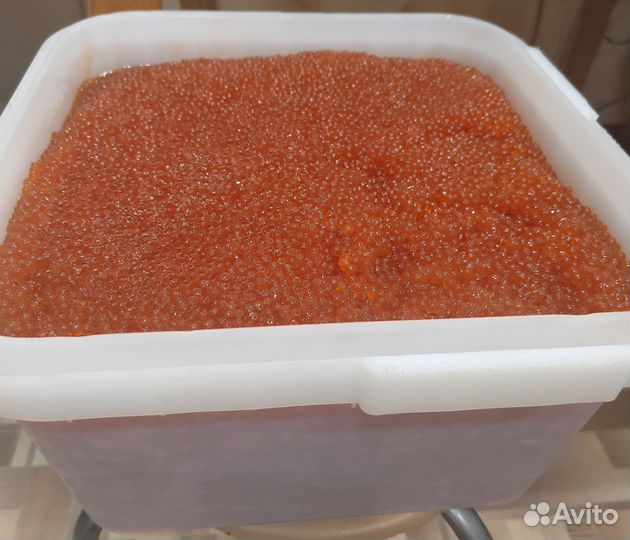 Красная икра 2023