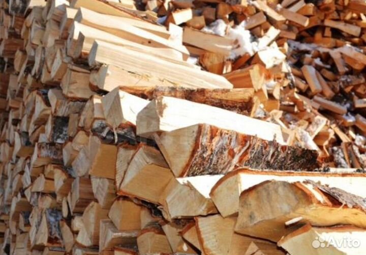 Дрова осина