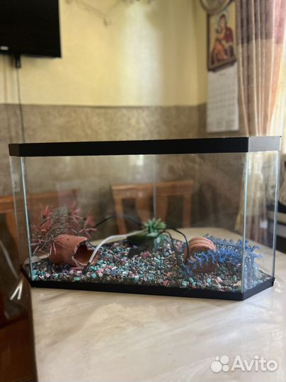 Аквариум 32*60*43