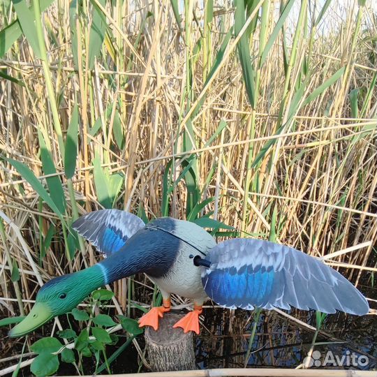Утка махокрыл приманка электромеханическая