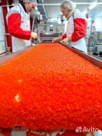 Обработчик рыбы