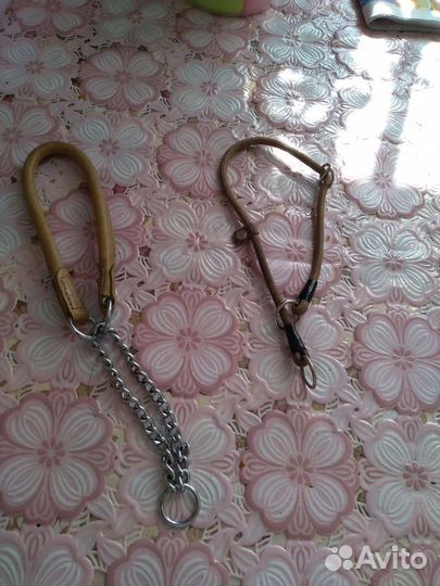 Ошейник строгий