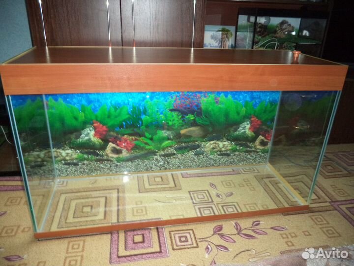 В наличии новые Аквариумы и Черепашники