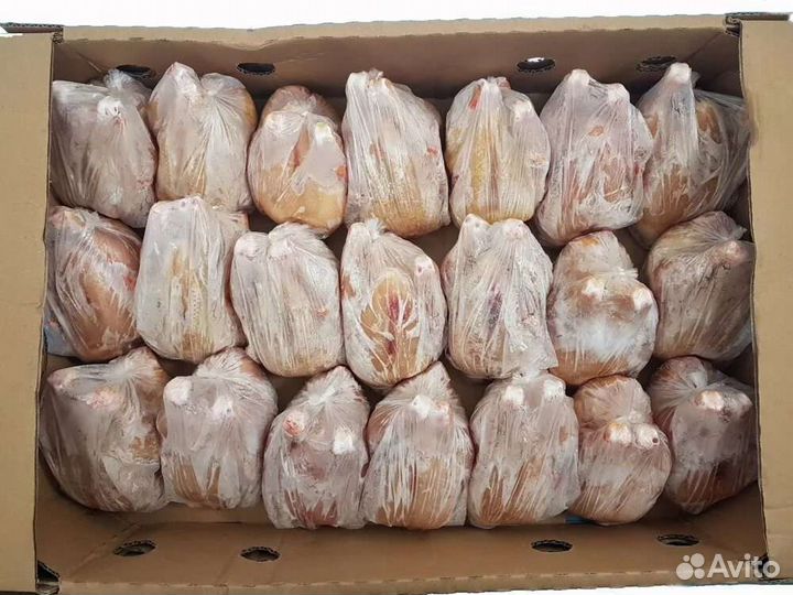 Цыплята корнишоны