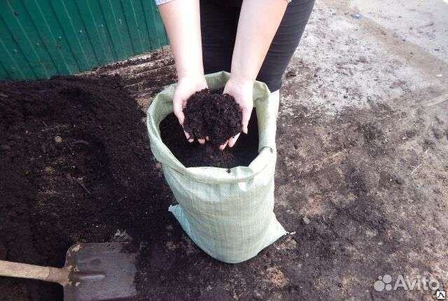 Грунт плодородная земля