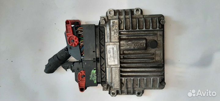 391044x910 kia carnival