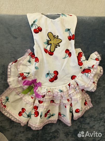 Одежда для небольшой собачки пакетом, йорк, шпиц