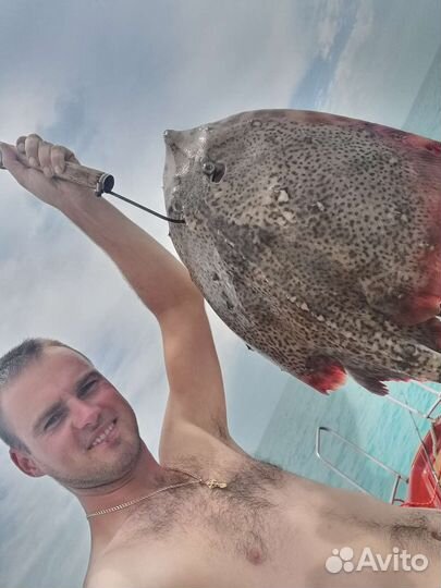 Морская прогулка рыбалка