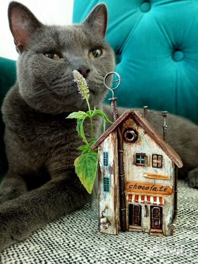 Интерьерные домики дрифтвуд