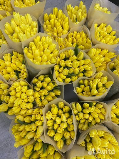 Тюльпаны доставка