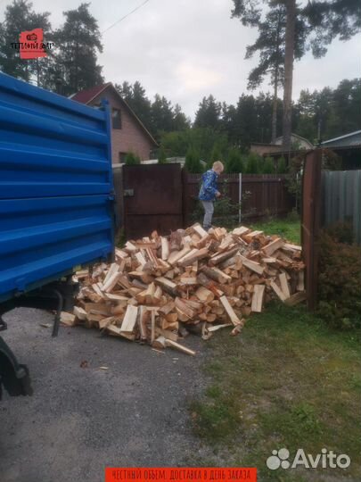 Дрова осиновые хвойные навалом
