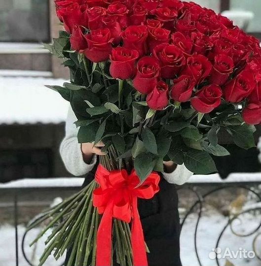 101 роза цветы букеты доставка 25 51 101 роза
