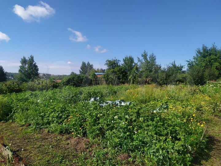 Участок 10 сот. (СНТ, ДНП)