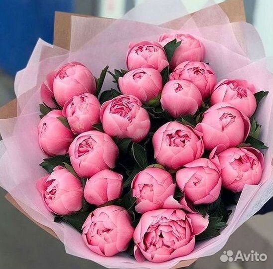 Пионы Букет