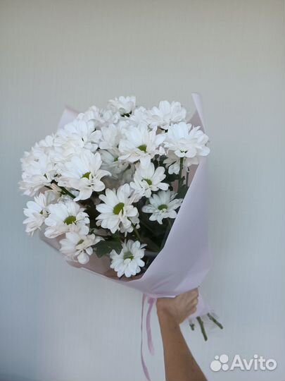 Ромашки. Букет Ромашек