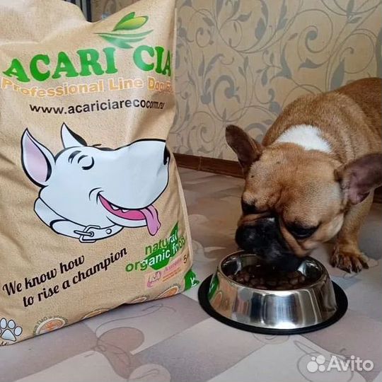 Сухой корм для собак Супер Премиум класса