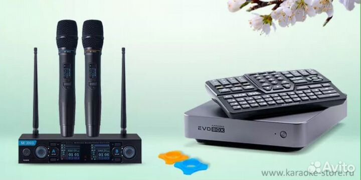 Караоке Evobox для дома с микрофонами (новое)