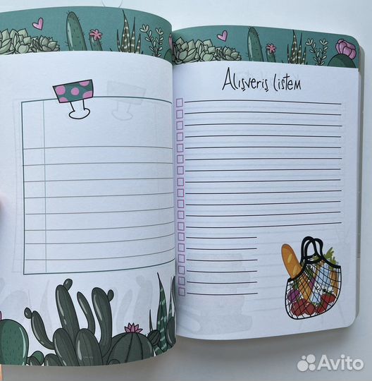 Турецкий ежедневник