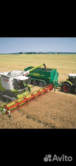 Уборка урожая комбайнами claas убираем