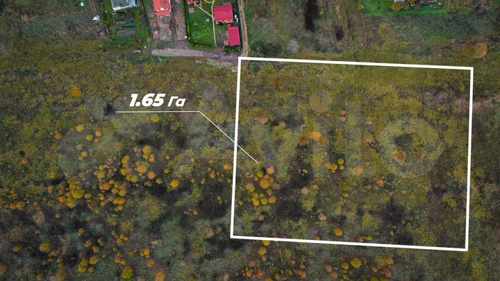 Участок 1,65 га (СНТ, ДНП)