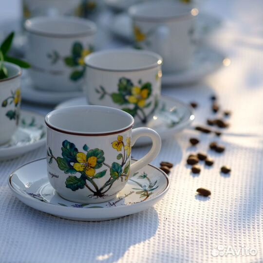 Кофейный набор чашка и блюдце, Ботаника, Виллерой