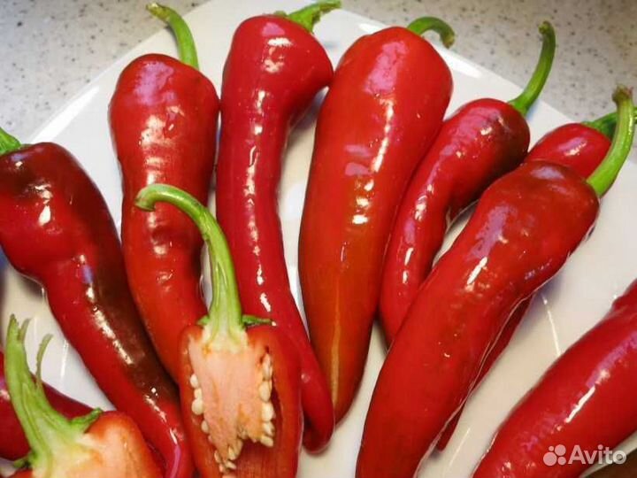 Острый перец