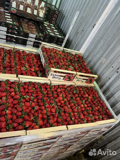 Клубника свежая