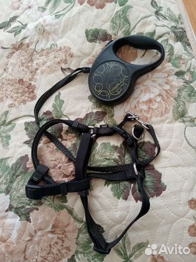 Шлейка, рулетка для собакина