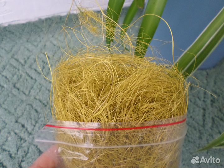 Сизаль для творчества,оливковый