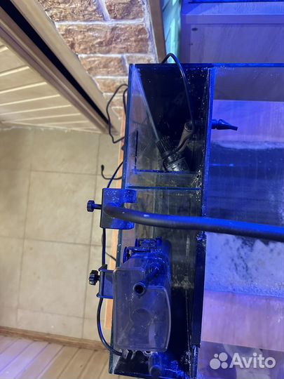 Морской аквариум бу