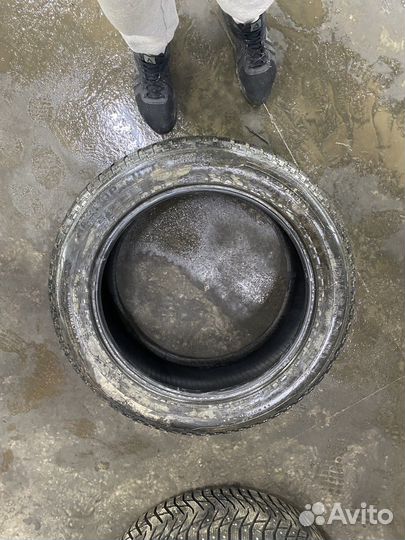 Nokian Tyres Hakkapeliitta 5 265/50 R20