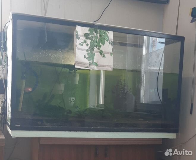 Аквариум,500литров