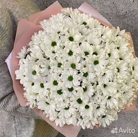Хризантема Букеты с доставкой