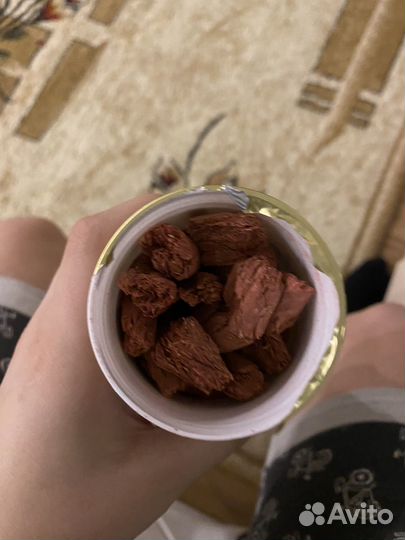 Корм для черепах