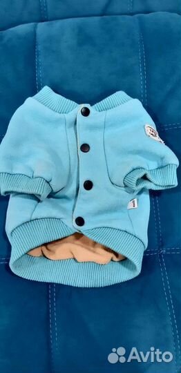 Одежда для собак мелких пород L