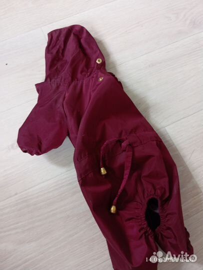 Одежда для собак мелких пород