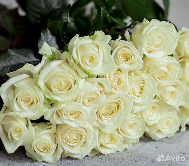 Розы Цветы Букеты 25 151 201 101 301 501 опт