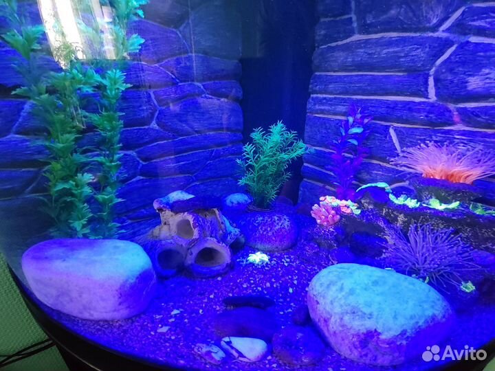 Грунт камни для аквариума