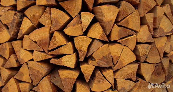 Дрова осина
