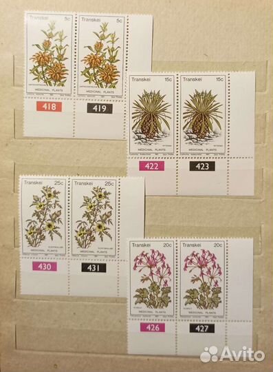 Почтовые марки, флора Южной Африки, Транскей