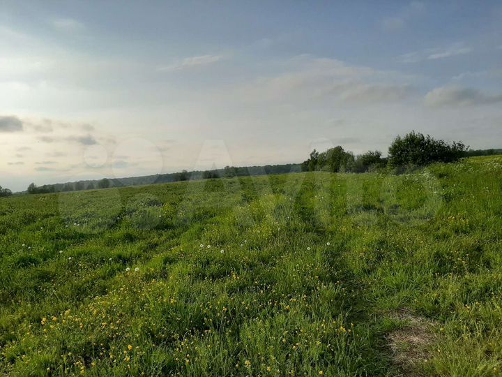 Участок 1,72 га (СНТ, ДНП)