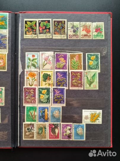 Почтовые марки с природой. Альбом целиком
