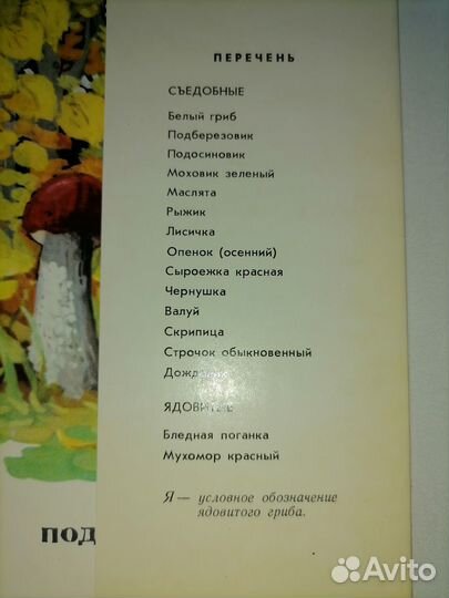 Набор Грибы