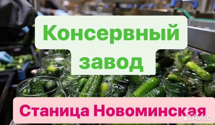 Упаковщик на конвейер.Вахта с проживанием питанием