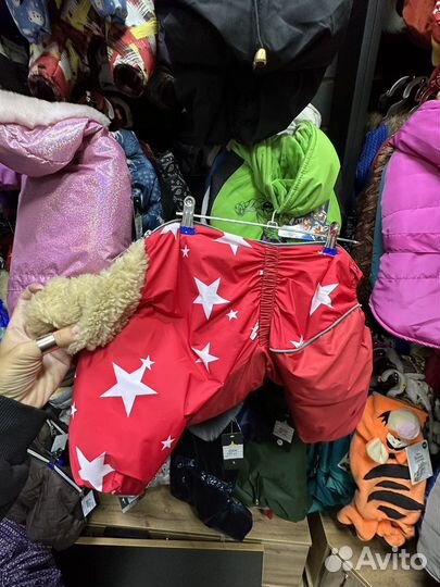 Одежда для собак