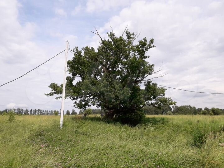 Участок 21 сот. (ИЖС)