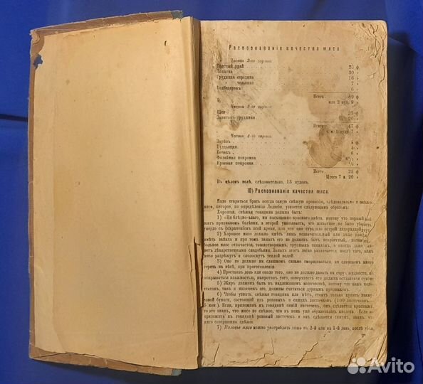 Е. Молоховец. Подарок молодым хозяйкам. 1909 г