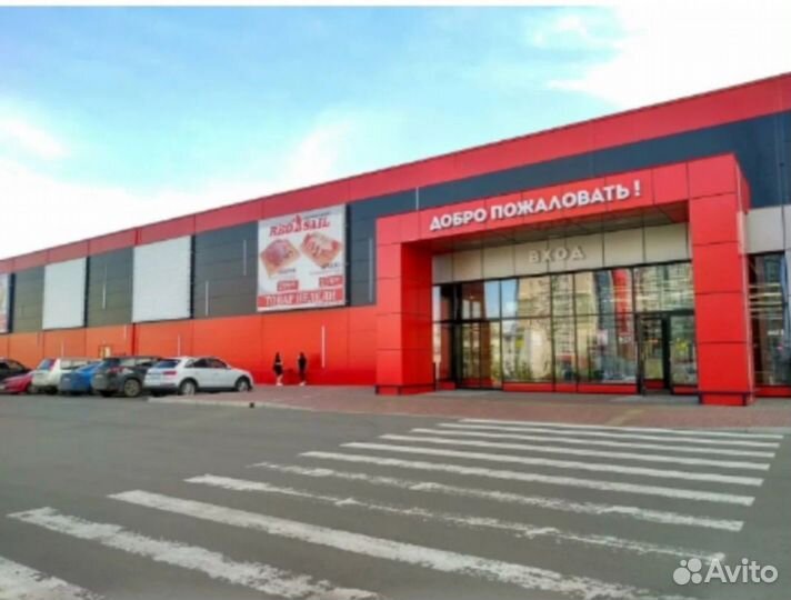 Кактусы и суккуленты