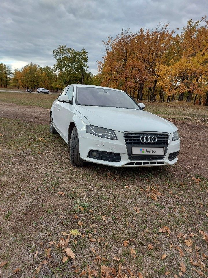Audi A4: фото владельца